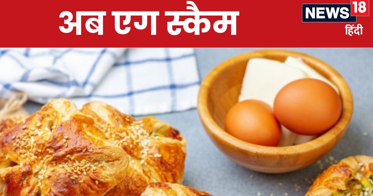 18 लाख अंडे खा गई सरकार, उठे सवाल तो बिलबिला पड़े, अब मिला जबरदस्‍त जवाब